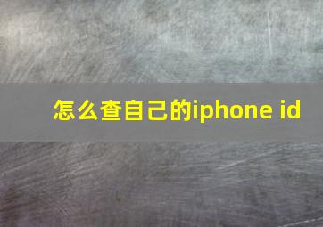 怎么查自己的iphone id